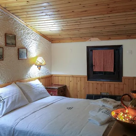 בקתה Dandy Agoriani - Erato - Fireplace