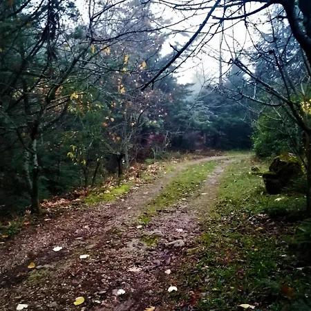 בקתה Dandy Agoriani - Erato - Fireplace Eptálofos