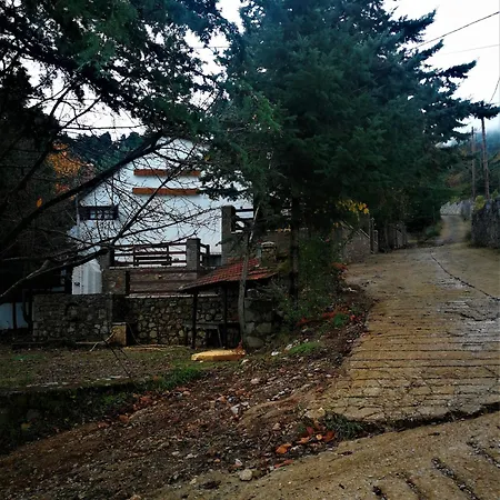 בקתה Dandy Agoriani - Erato - Fireplace *